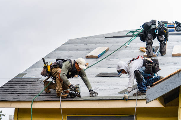 Professional Roofing technician working in Tingley, IA
